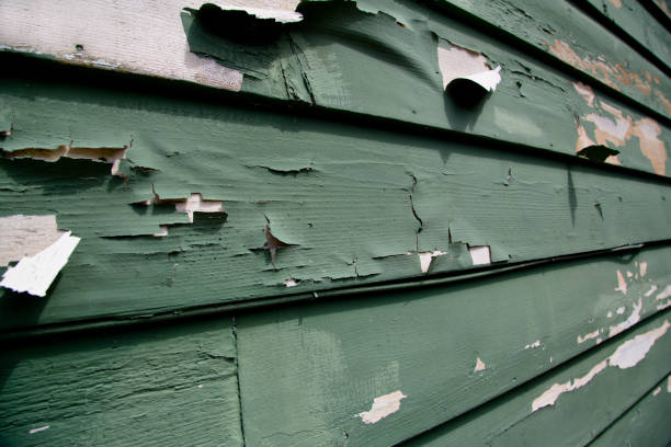 Affordable Siding Repair and Maintenance Services in Muscle Shoals, AL